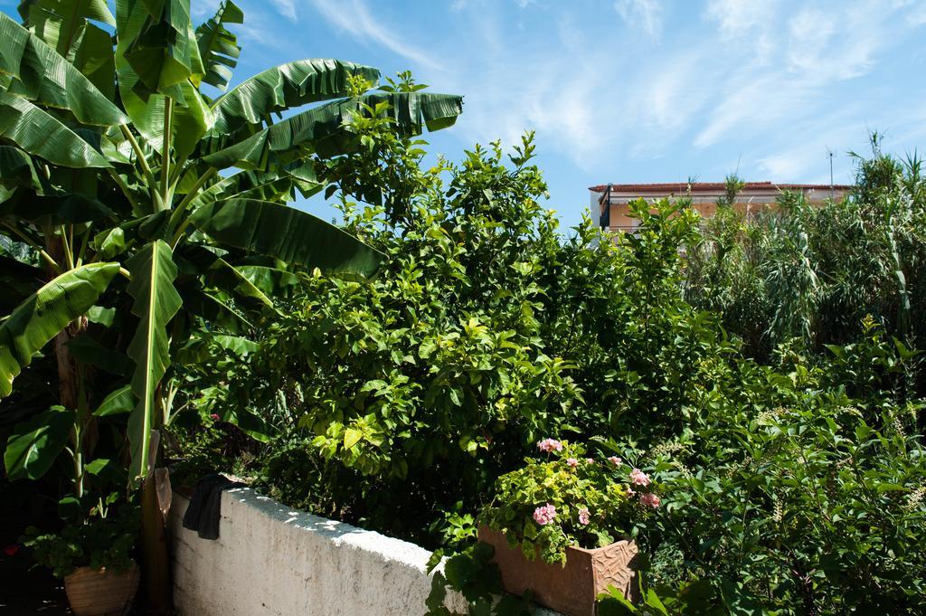 Studios Margarita Petalídhion Dış mekan fotoğraf